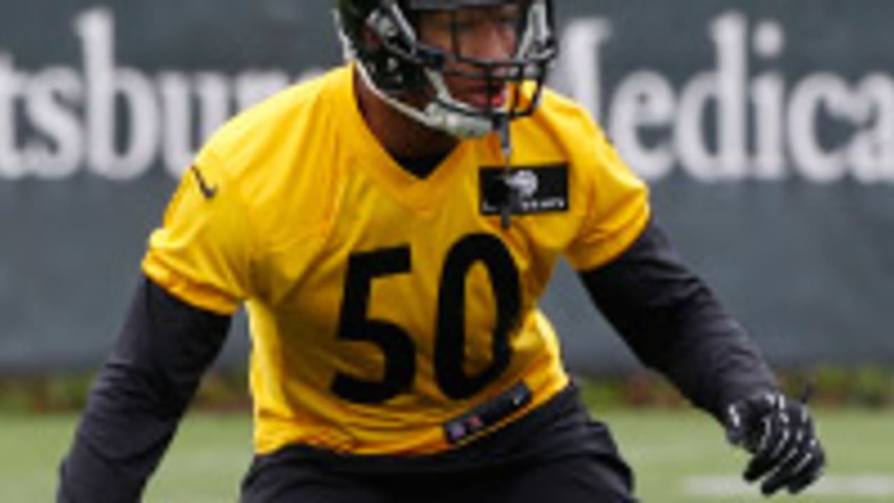 ryan-shazier-140520-spot.jpg