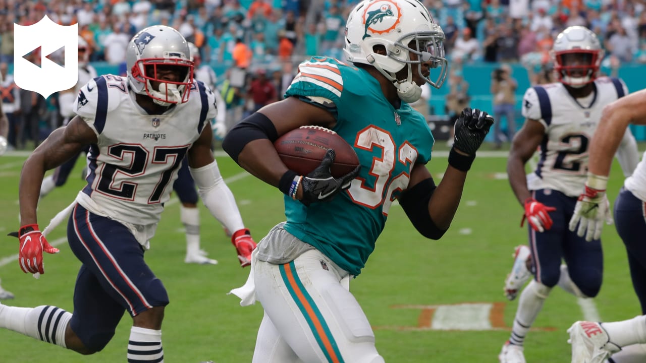 Miami Dolphins 2010 Year in Review: Top 10 Moments