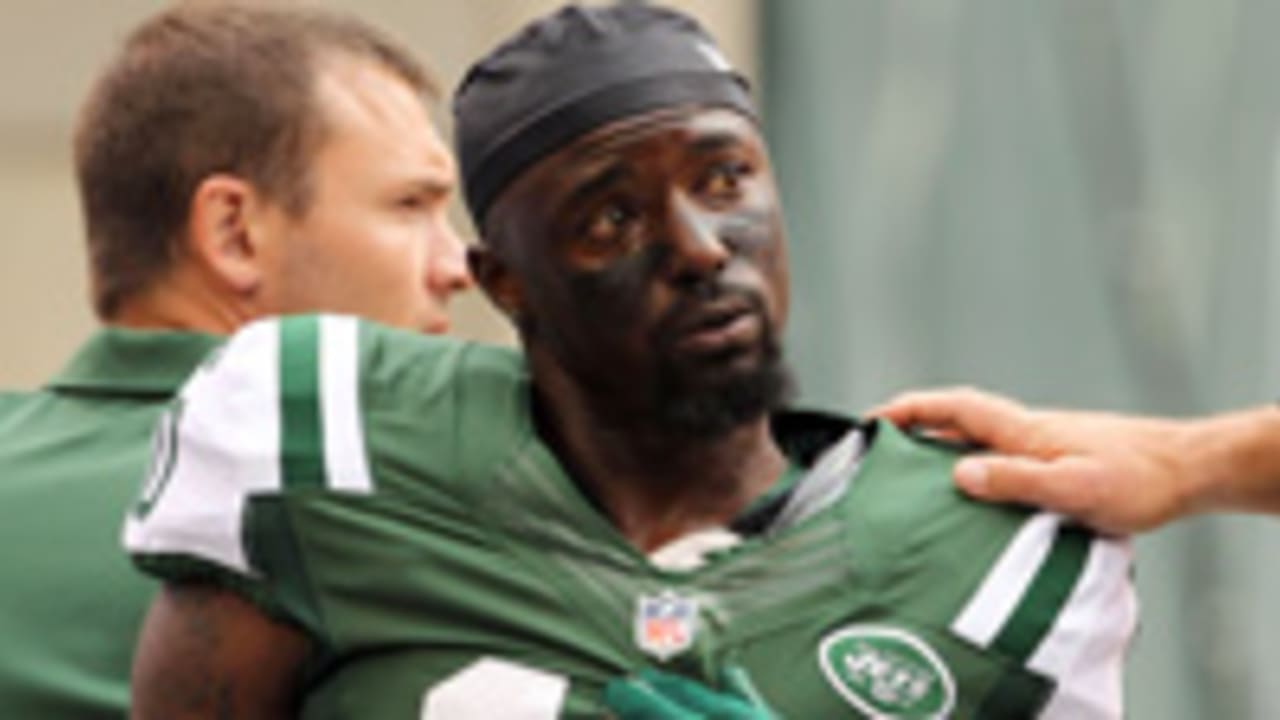 Santonio-Holmes-120312-Spot.jpg
