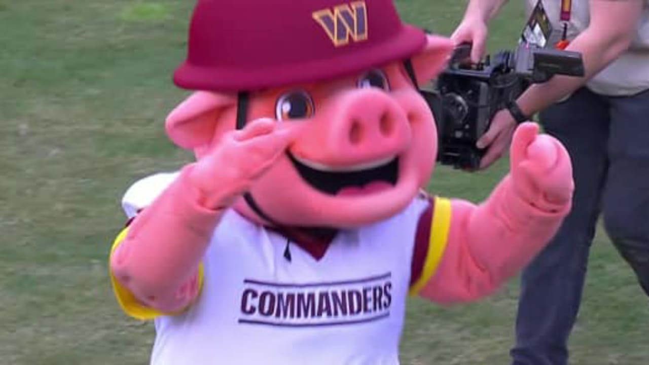 nfl washington commanders mascot