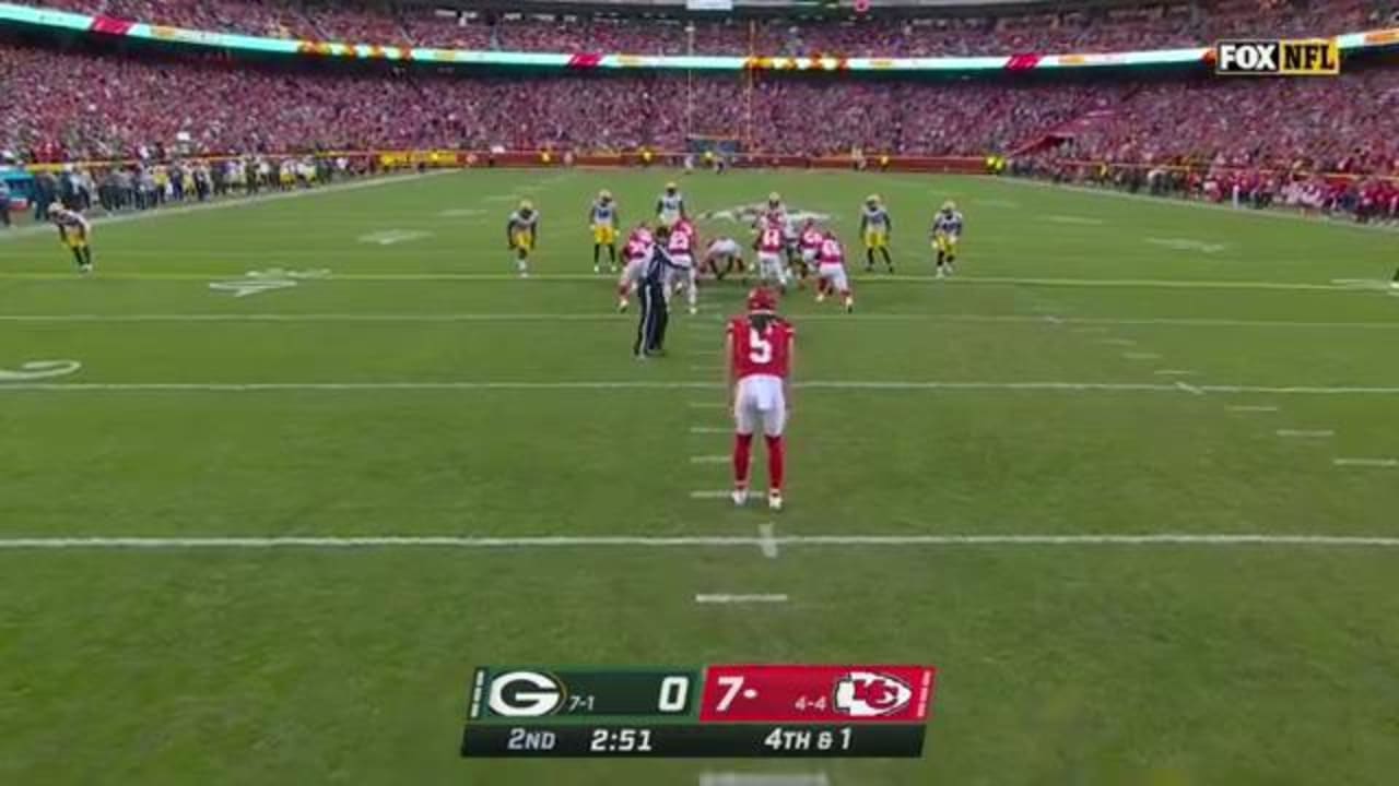 Packers' Malik Taylor of Montrose and Ferris State scores first NFL  touchdown 