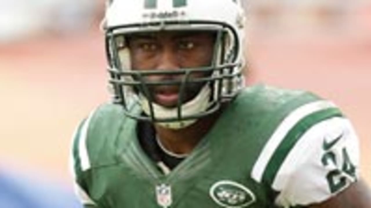 d_revis_130303_spot.jpg