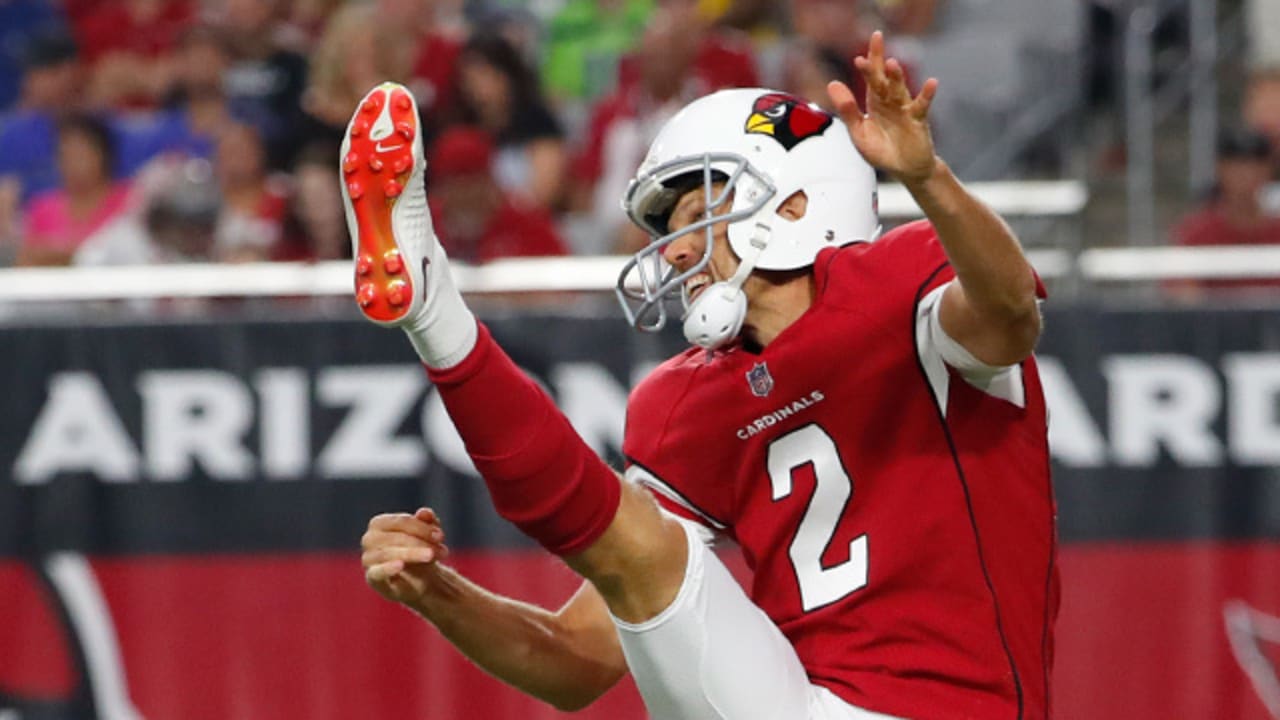 This Is 40: Andy Lee Still Punting Impressively For Cardinals