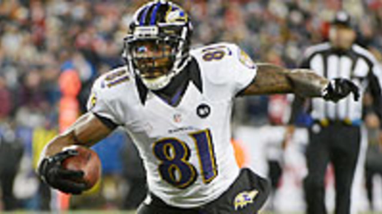 Anquan-Boldin-0130208-Spot.jpg