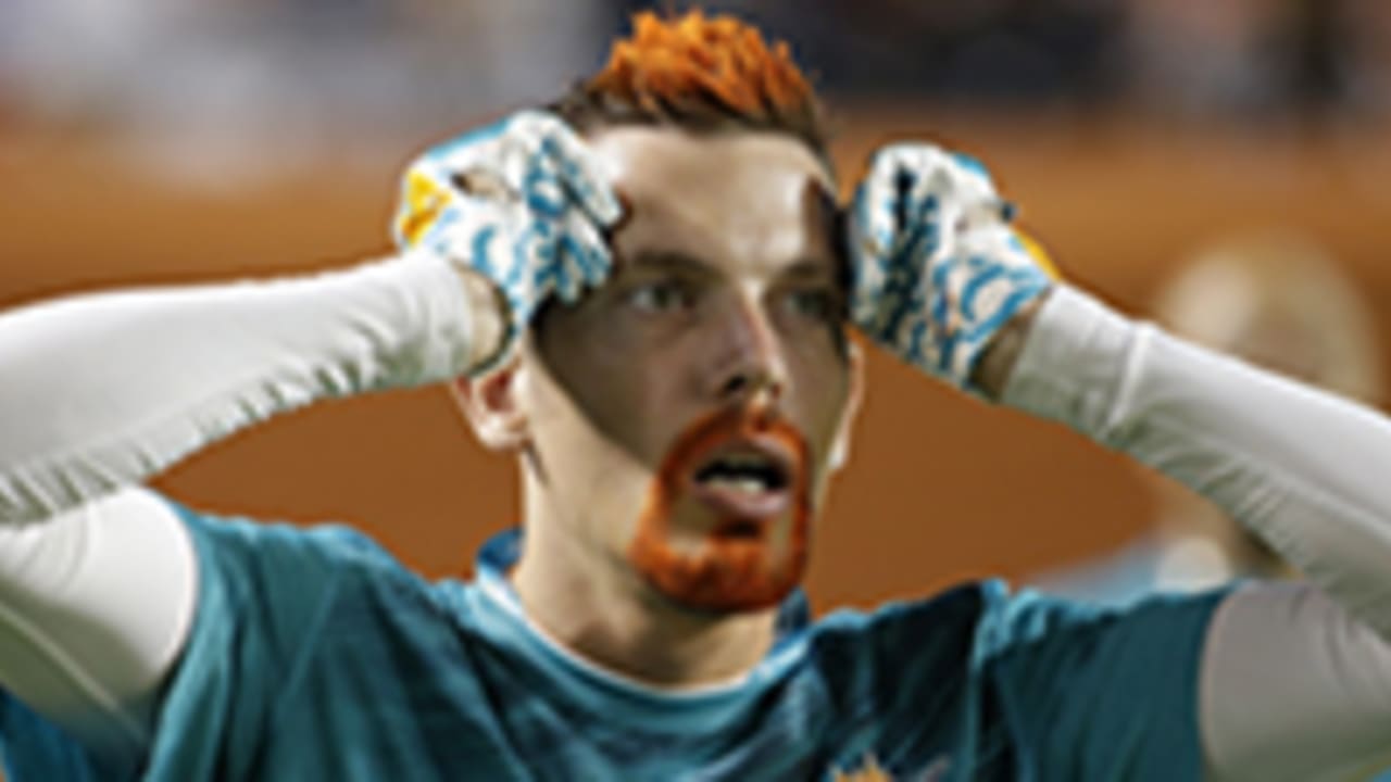 pft-Dolphins