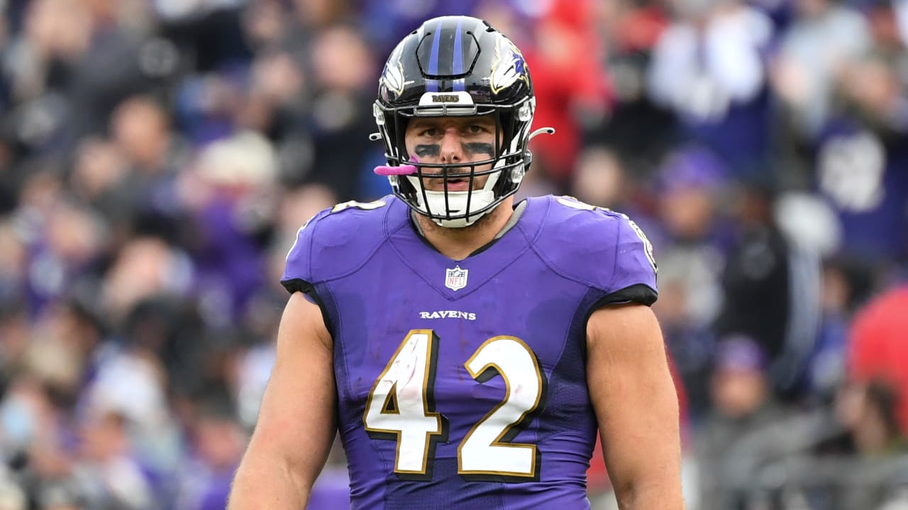 Baltimore Ravens Patrick Ricard does it all in Week 9