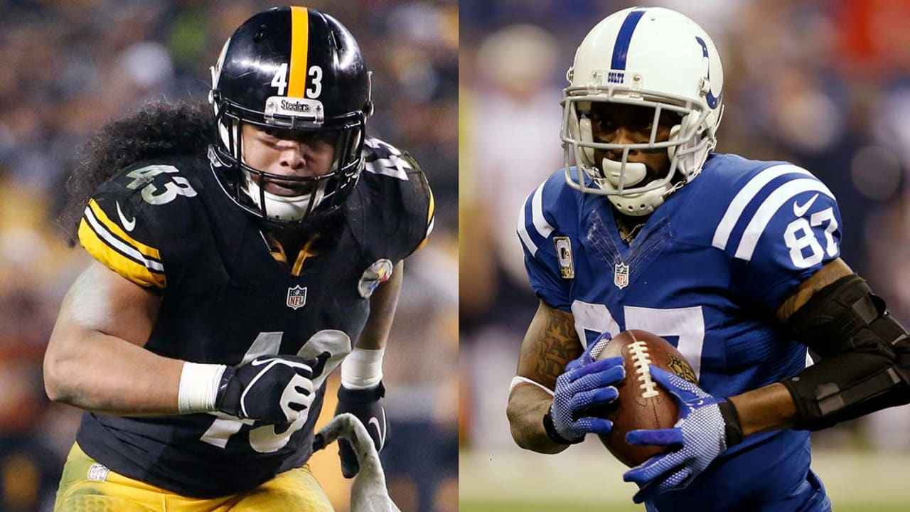 Troy Polamalu, Reggie Wayne highlight finalists for Hall of Fame