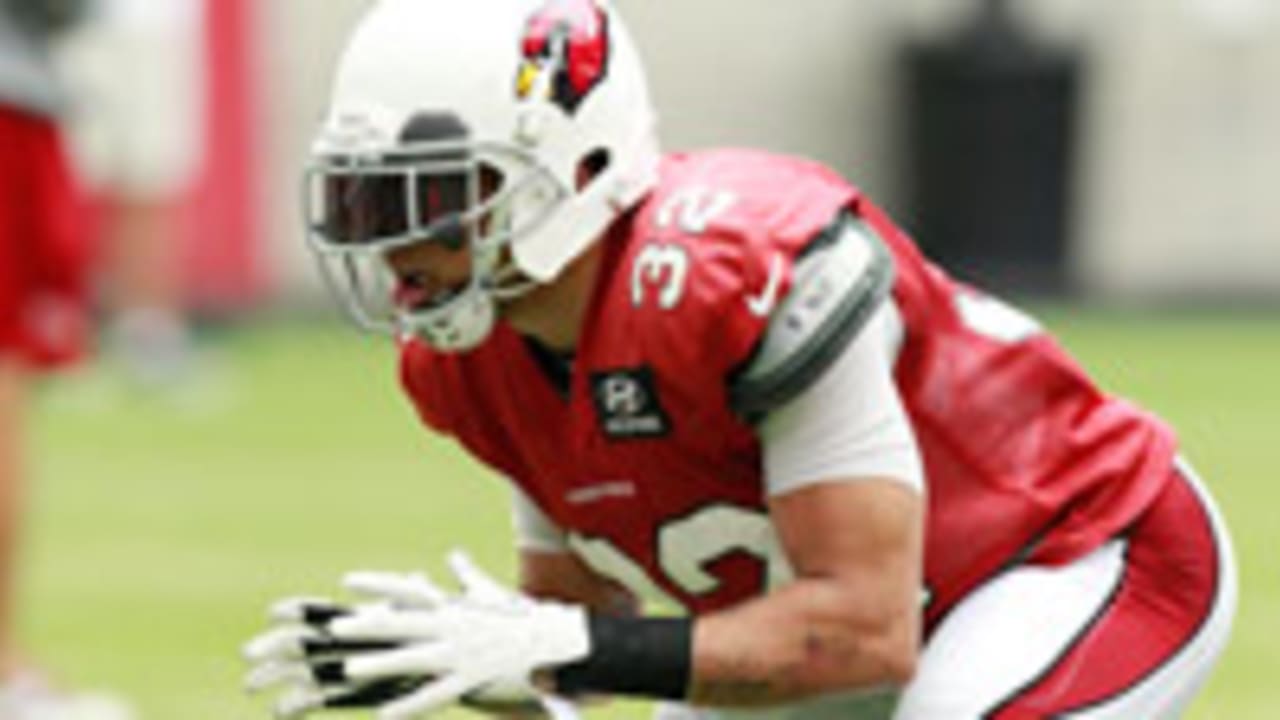 Tyrann-Mathieu-sl-130805.jpg