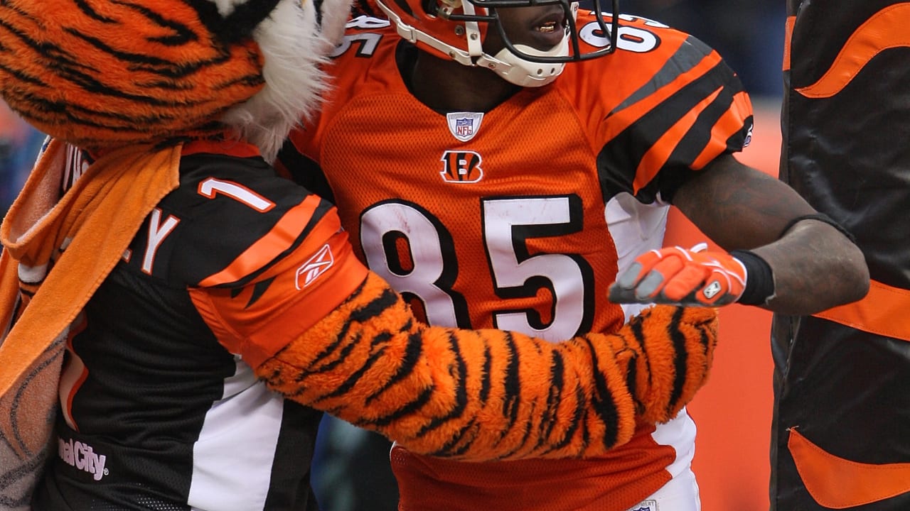 Cincinnati Bengals Rudi Johnson (32) and Levi Jones (76) celebrate