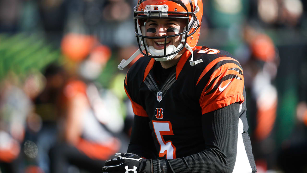 AJ McCarron makes fourth-quarter appearance for Cincinnati Bengals 