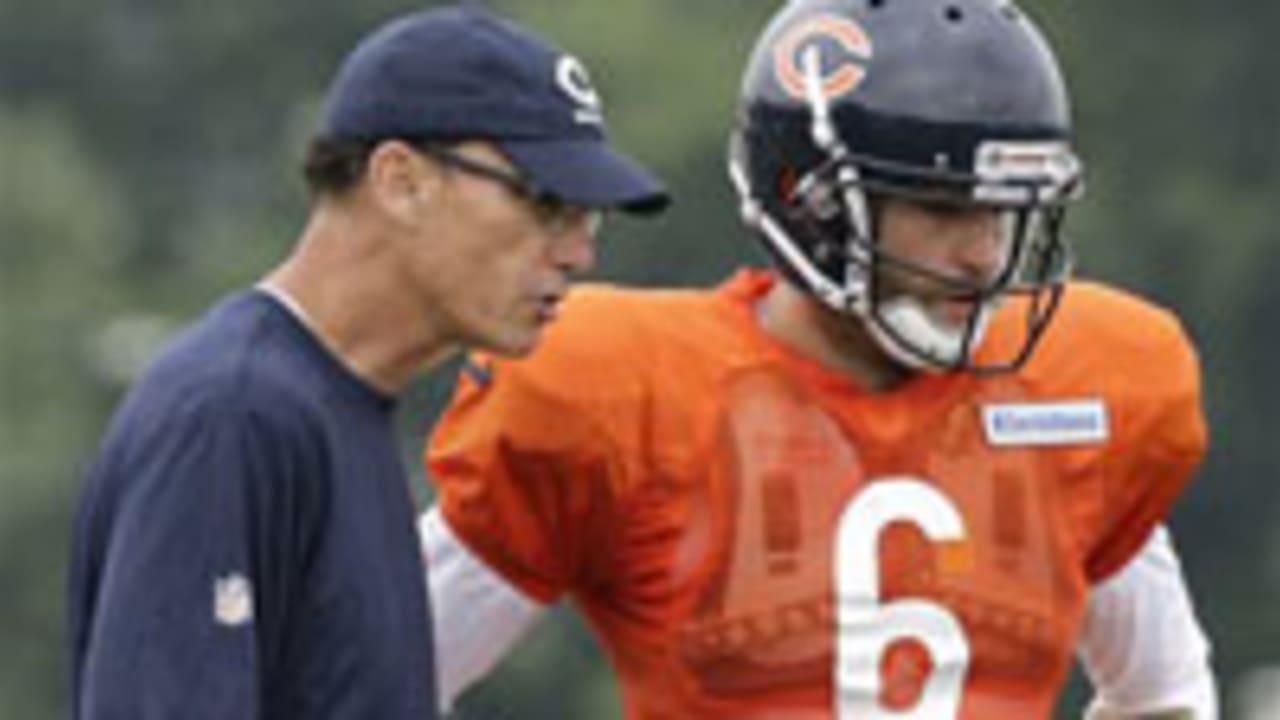 bears_spot.jpg