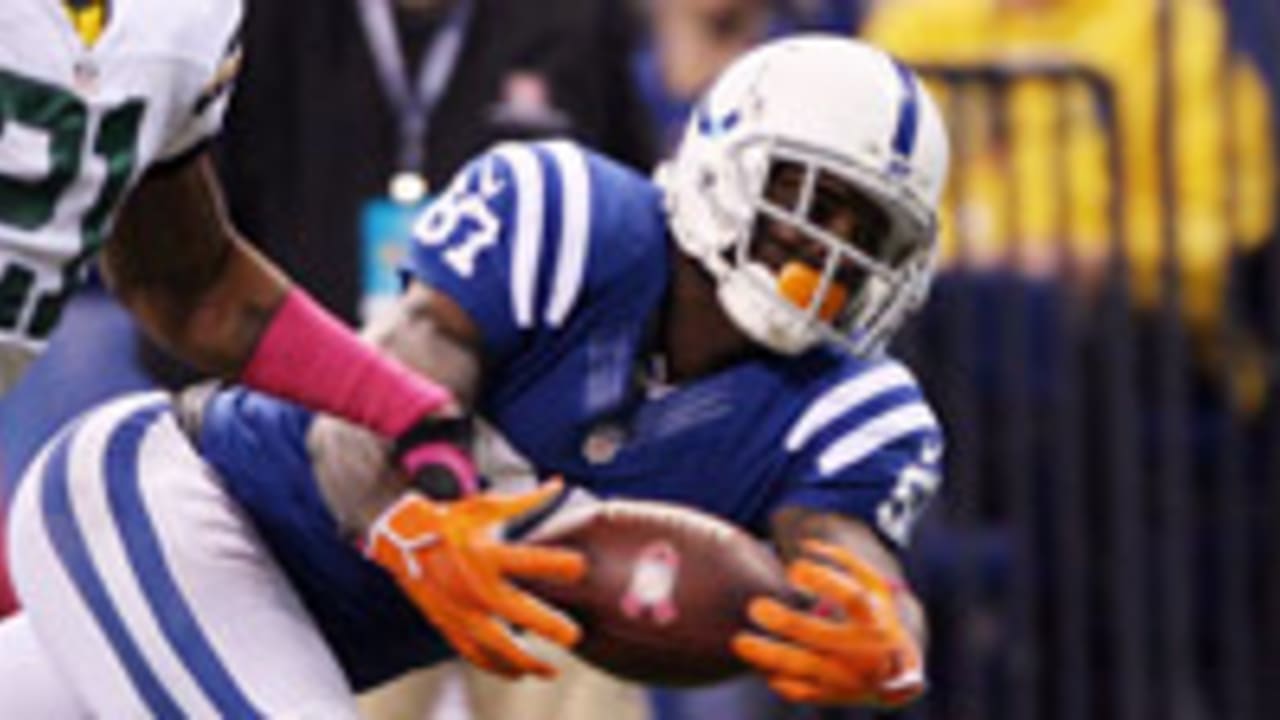 reggie-wayne-121008-spot.jpg