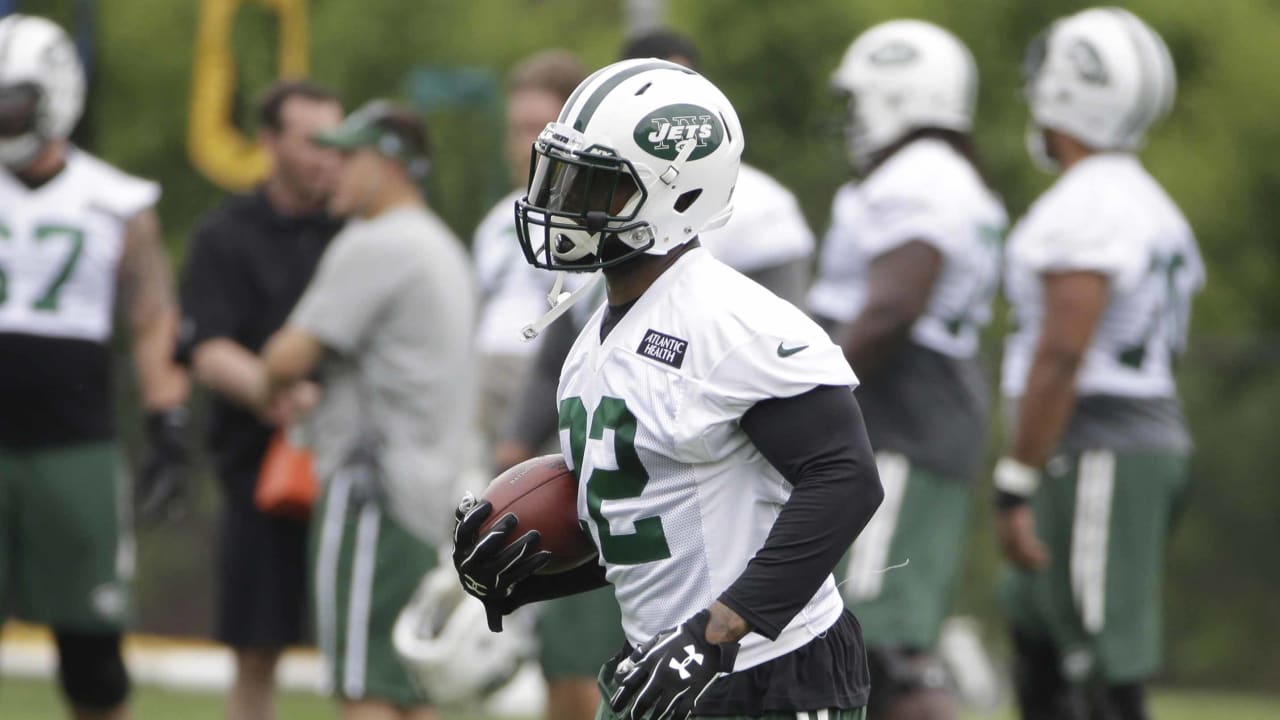 STEVAN_RIDLEY_150614