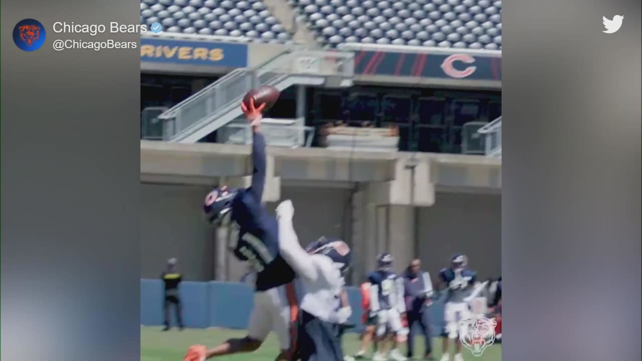 Darnell Mooney leaps for insane one-handed snag at Chicago Bears training  camp practice