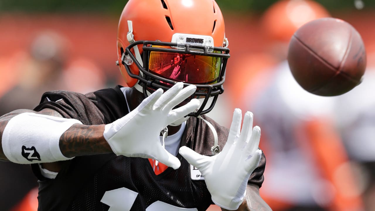 josh-gordon-180723-sl
