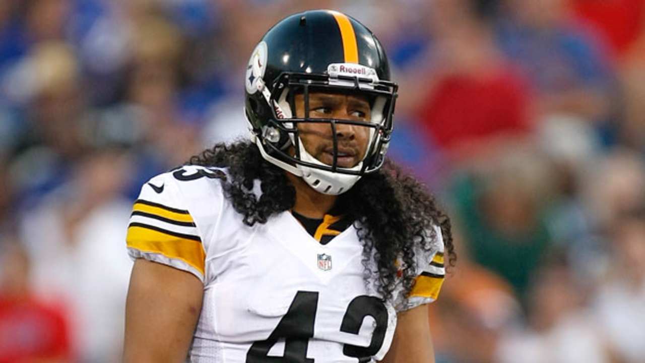 troy-polamalu-121004-wide.jpg