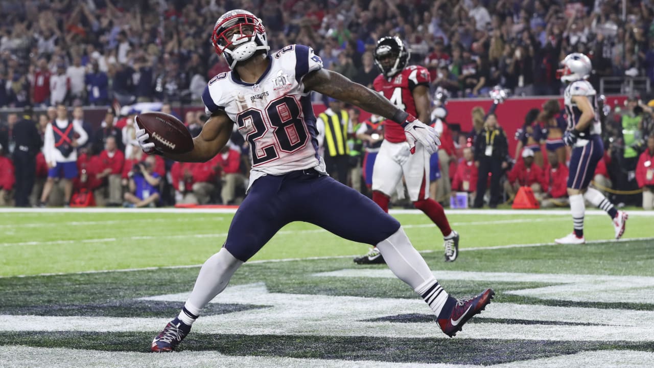 James White Photo Super Bowl LI Game Winning Touchdown 11x14