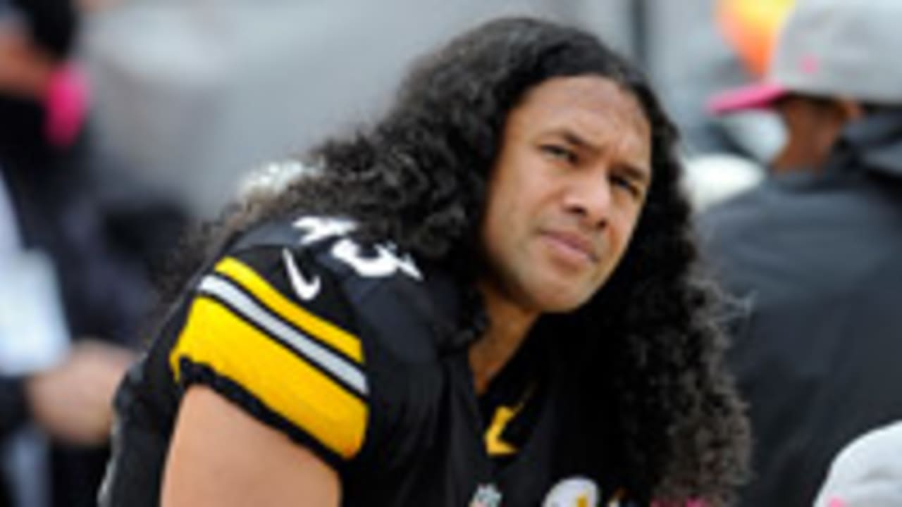 Troy_Polamalu_130527_SL.jpg