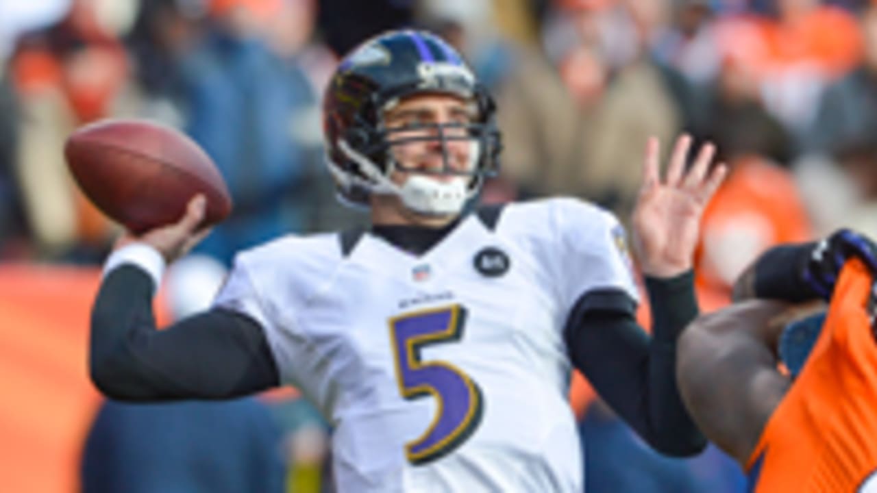 flacco_joe_021113