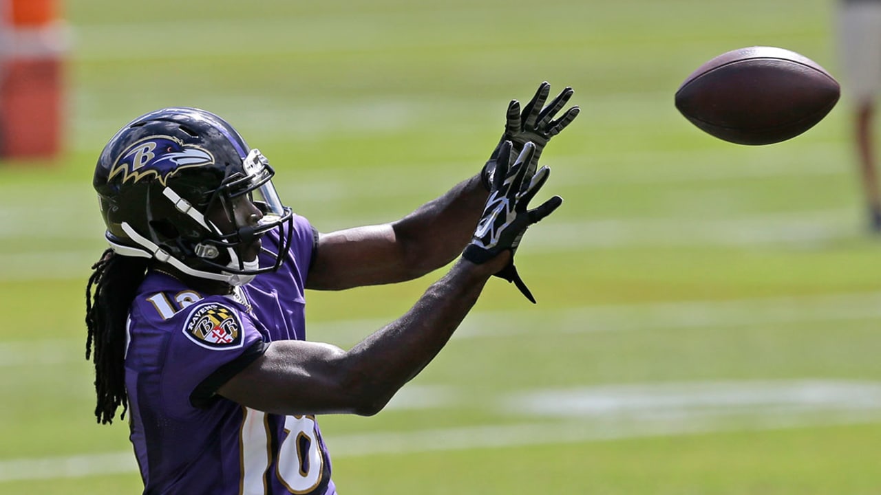 breshad-perriman-160614-SL