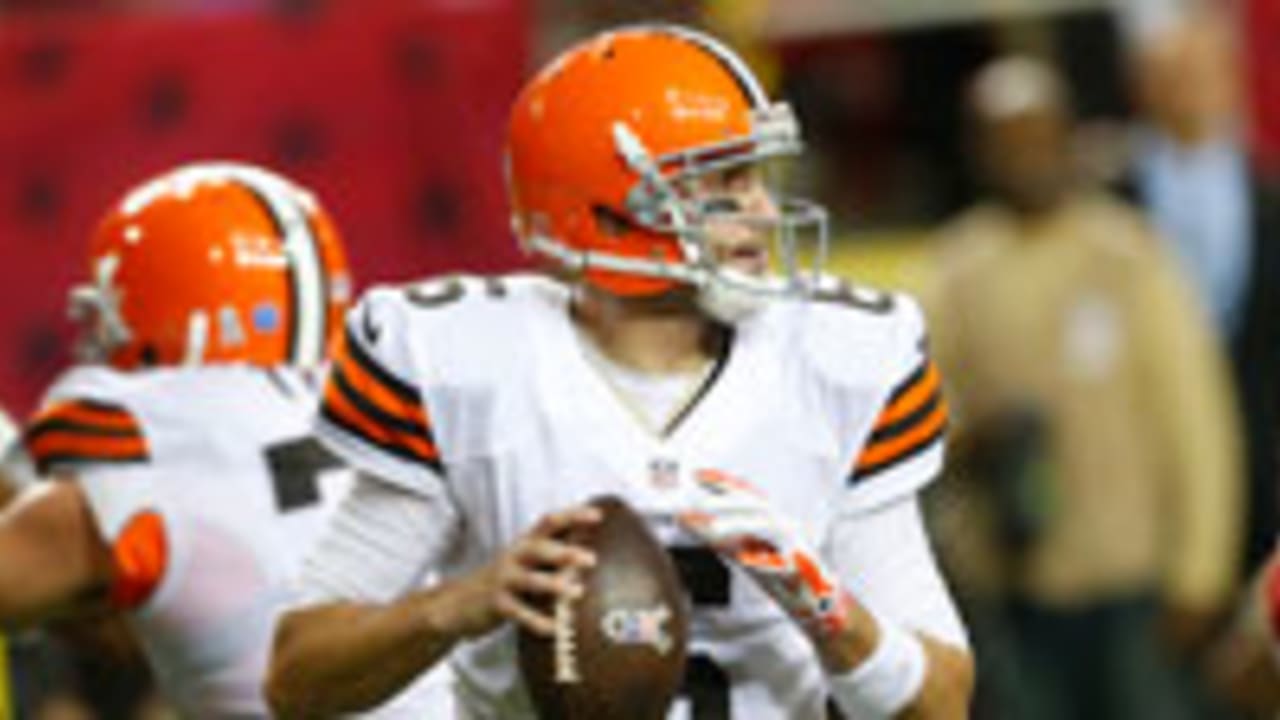 Brian-Hoyer-sl-112414-2.jpg