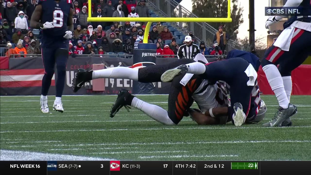 Tee Higgins TD Catch  Week 16 Bengals Highlights vs. New England