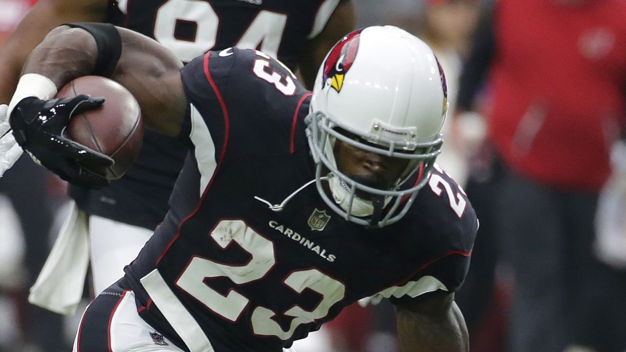 adrian-peterson-102017