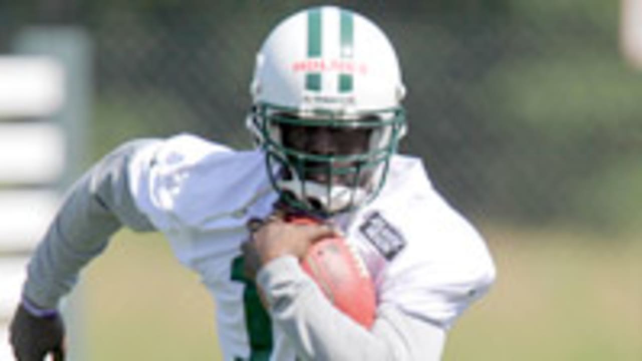 Santonio-Holmes-130605-sl.jpg