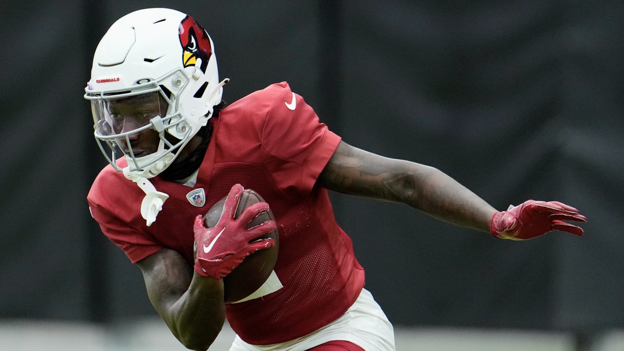 Cardinals-Panthers injury report: WR Hollywood Brown questionable