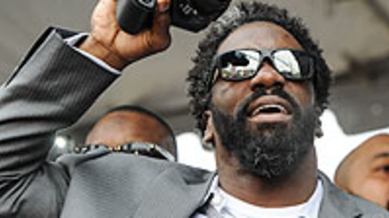 ed-reed-spot_130129