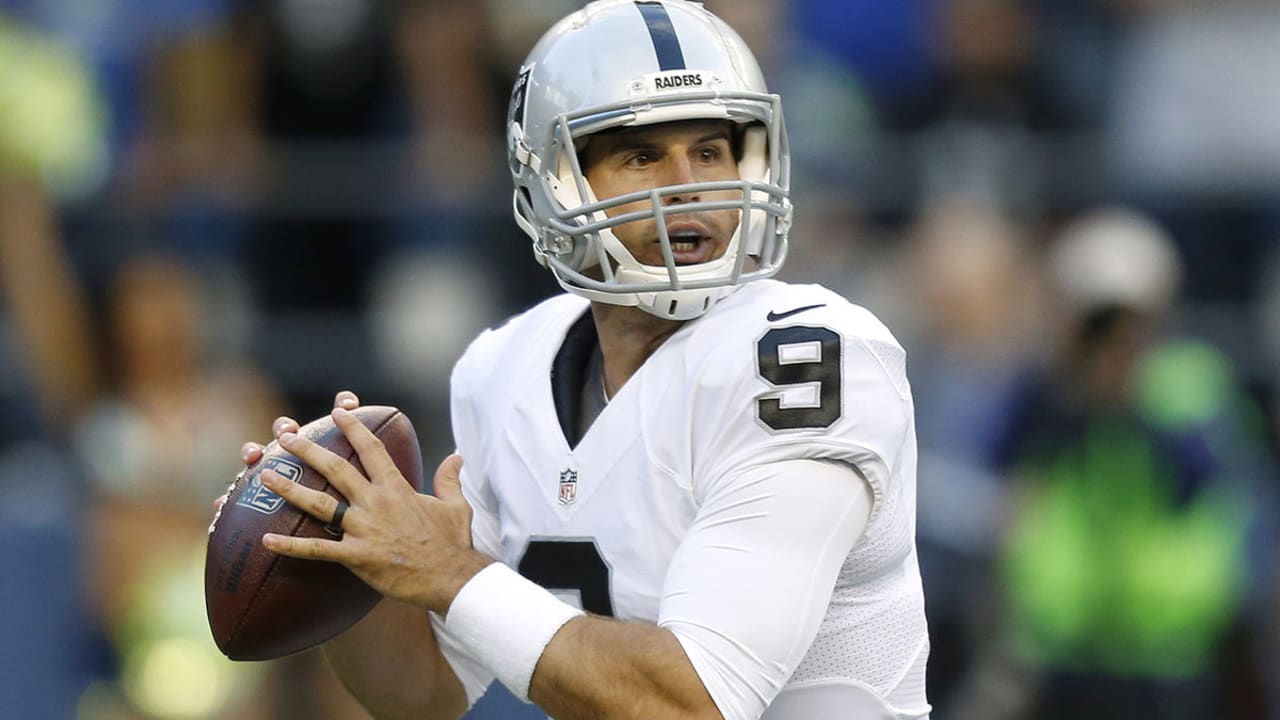 christian-ponder-151208-spot.jpg