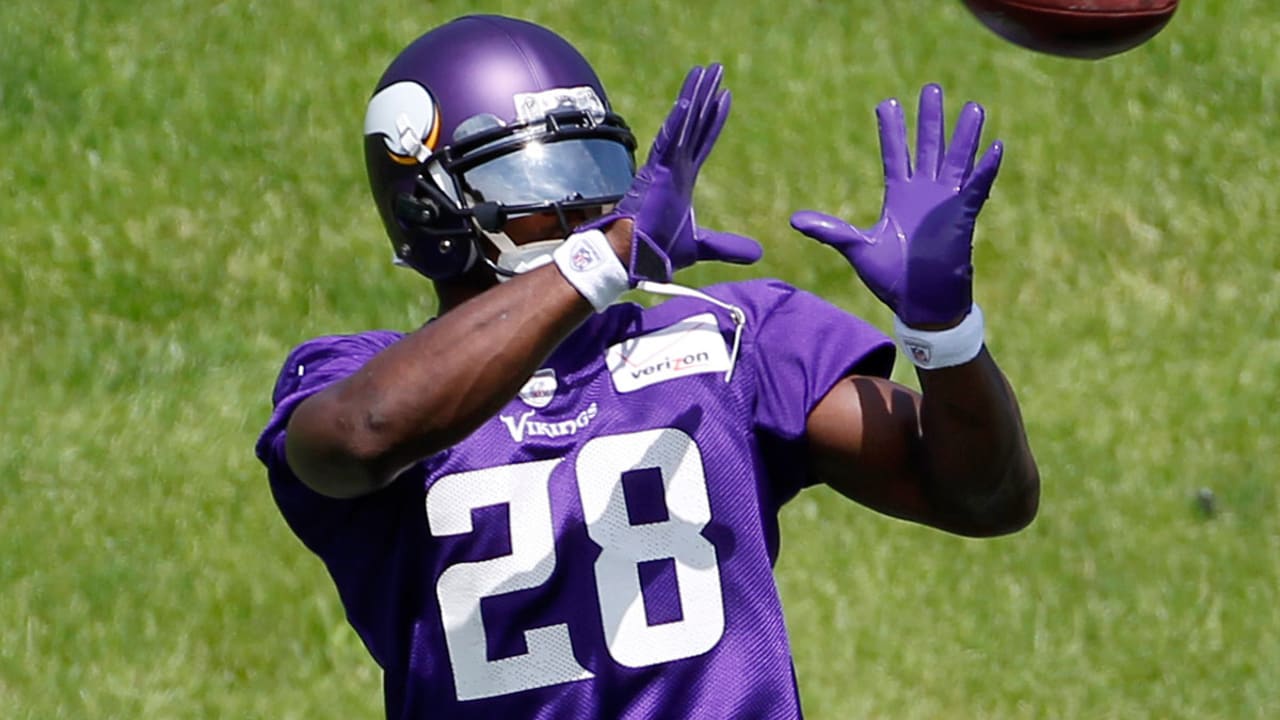 Adrian-Peterson-150627-Sl.jpg