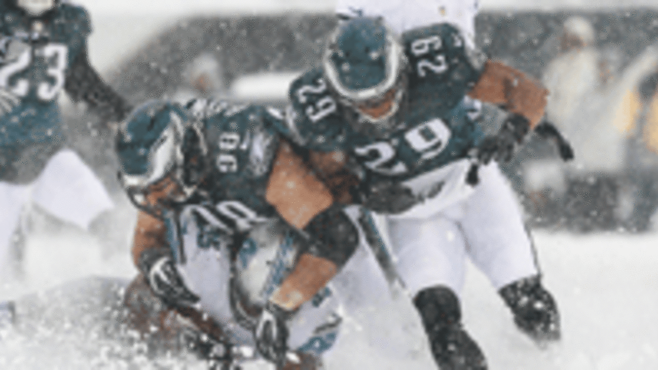 eagles-snow-spot_140102.jpg