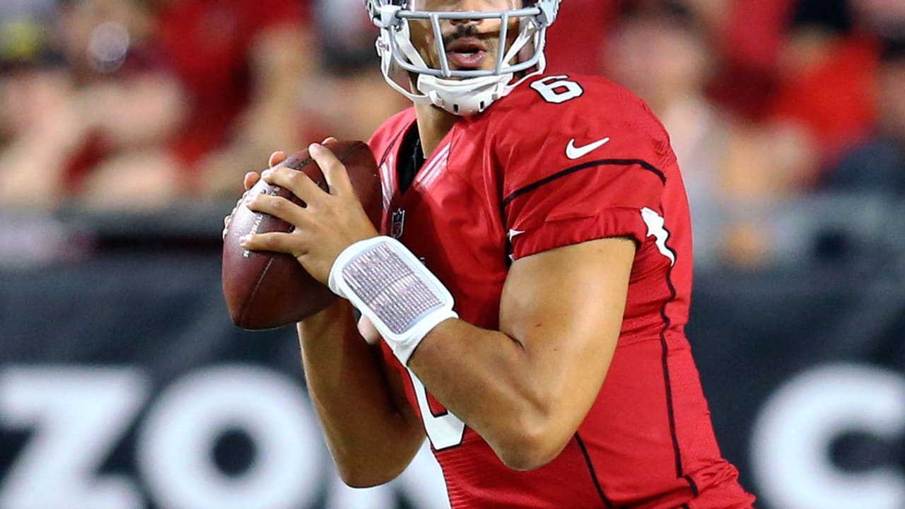 Logan Thomas Released By Arizona Cardinals