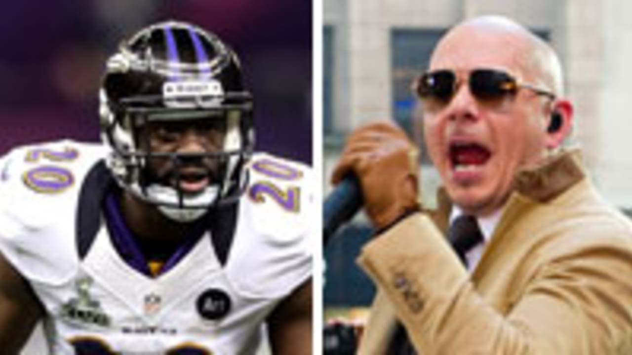 ed-reed-pitbull-130315-spot.jpg