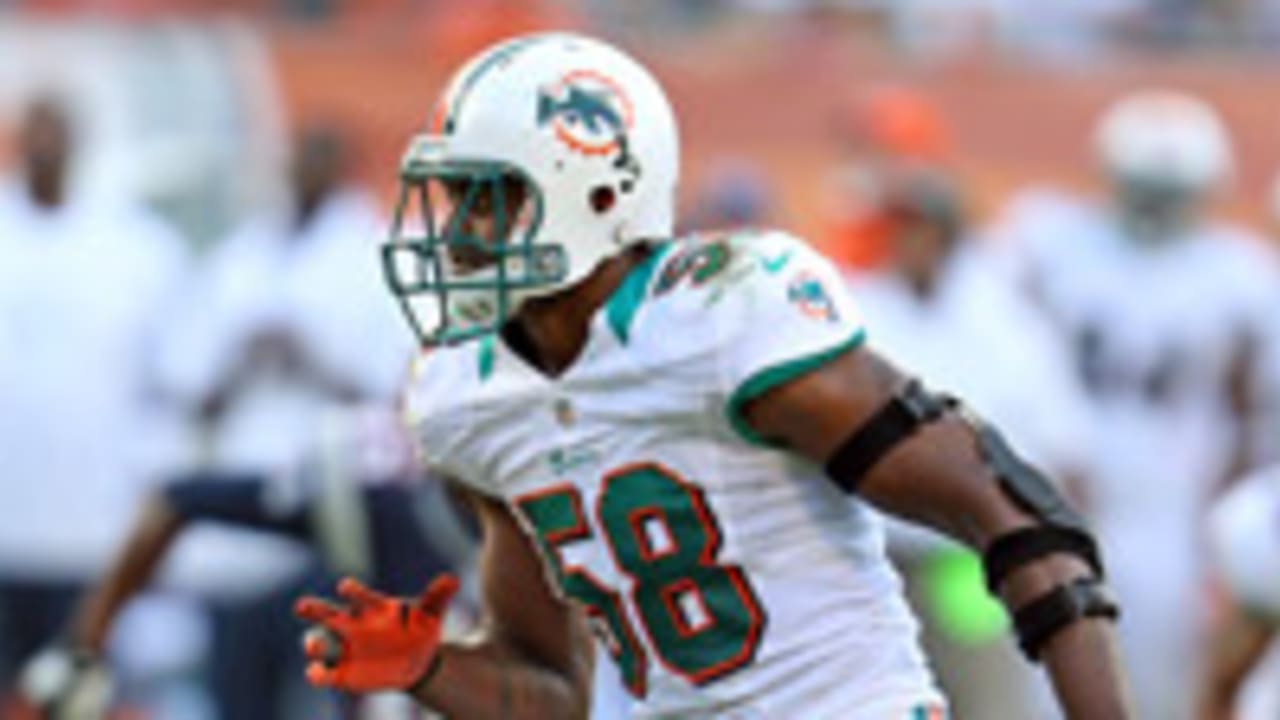 karlos-dansby-130410-spot.jpg