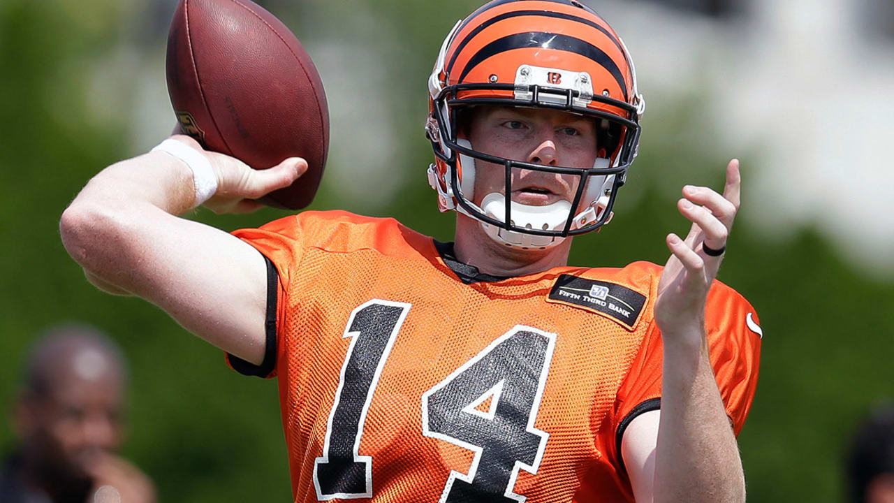 NFL  Bengals: A.J. Hawk feels right at home on new team