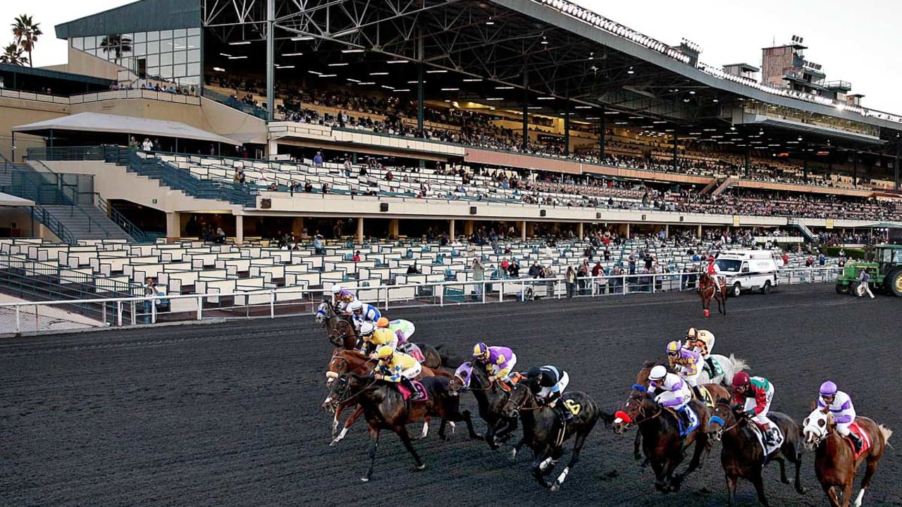 Inglewood-Grandstands-SL-150531