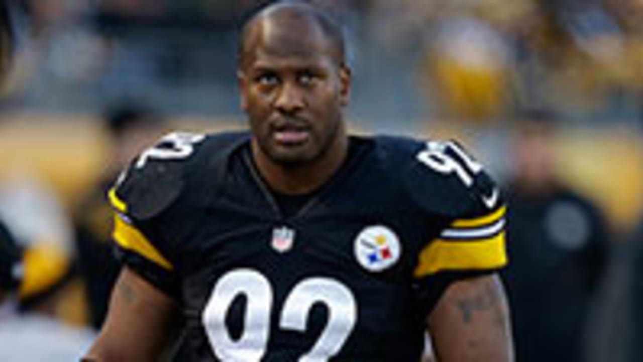 James Harrison-130307-Spot.jpg