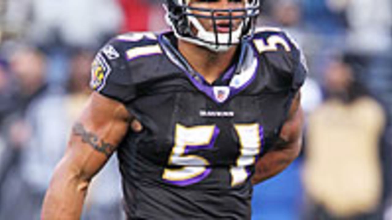 Brendon-Ayanbadejo-130113-Spot.jpg