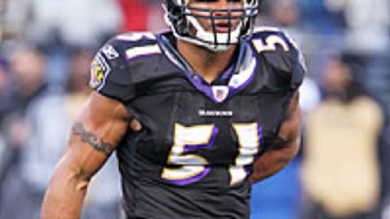 Brendon Ayanbadejo Released By The Baltimore Ravens - Outsports