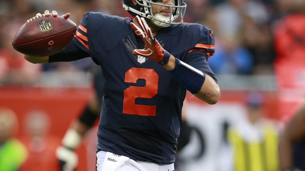 brian-hoyer-100916