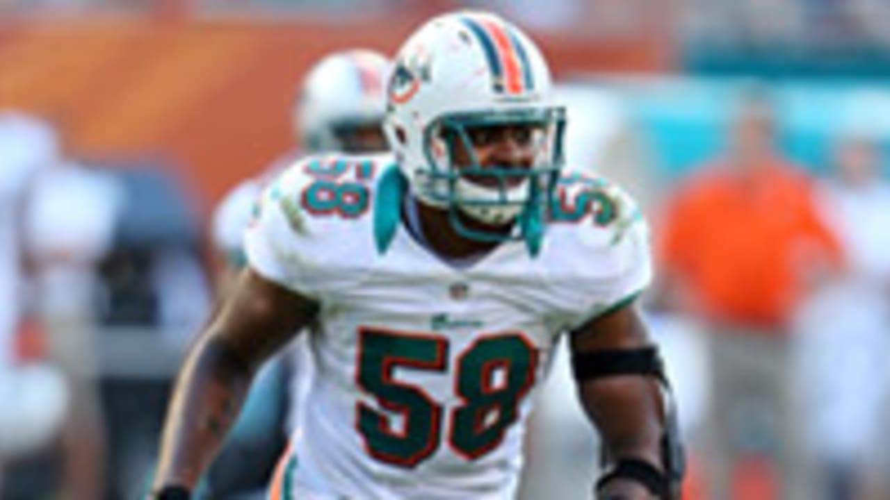 karlos-dansby-042813-spot.jpg