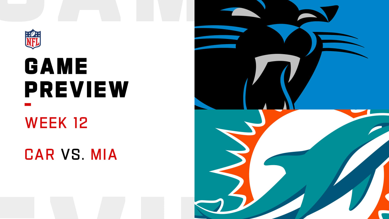 Panthers vs. Dolphins Week 12 Highlights