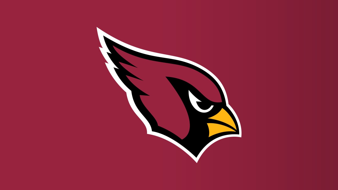 I ❤ my Arizona Cardinals! Let's Go Red Birds! #BirdGang #AZLadyBirds   Arizona cardinals, Arizona cardinals football, Arizona cardinals wallpaper