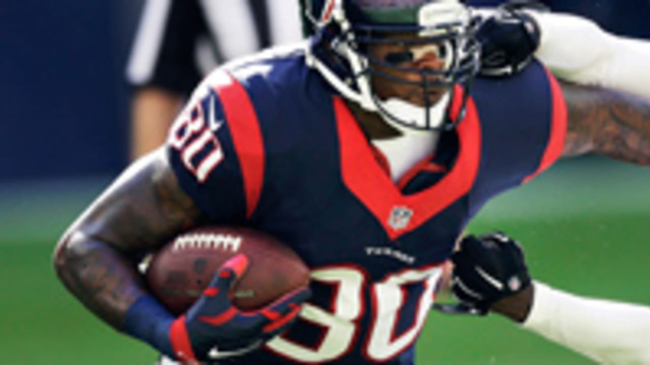 NFL-Andre-Johnson-SL-141204