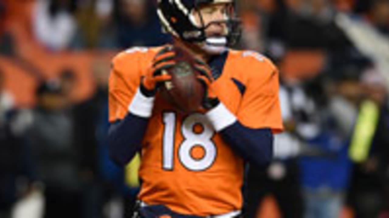 manning-21015-sl