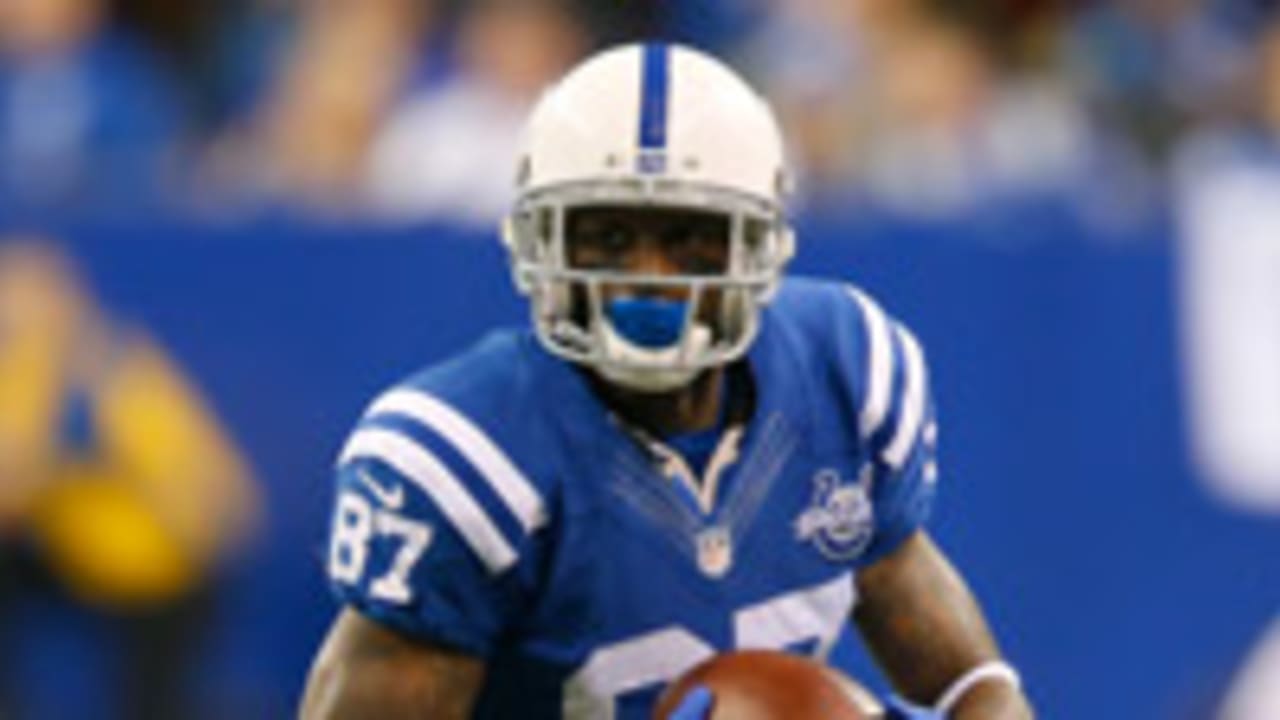 reggie-wayne-140408-sl.jpg
