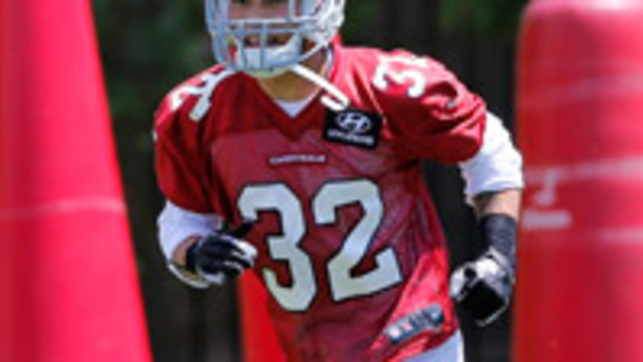 tyrann_mathieu_130610_SL.jpg