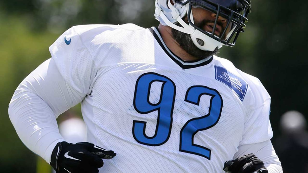 Haloti Ngata-8315-sl